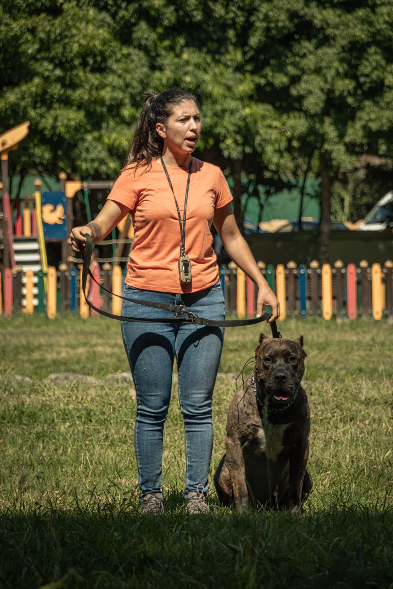 Treinador de cães perto de mim porto, gaia, espinho, são joao de ver, são joao da madeira, modificação comportamental